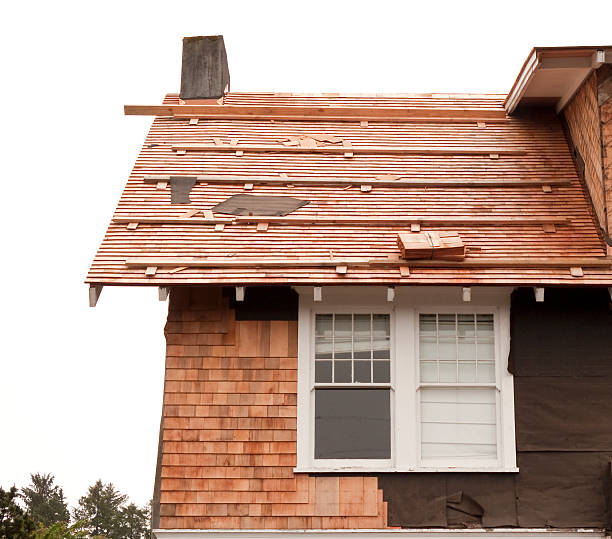 Affordable Siding Repair and Maintenance Services in Ozona, TX